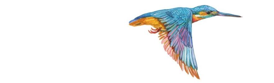 Kingfishers Strip